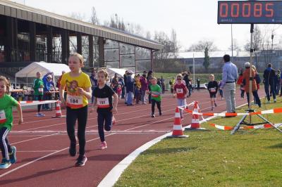 TGK Frühjahrslauf 2025 - die Läufer in Aktion